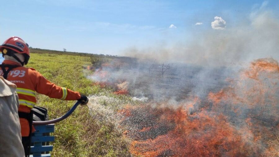 Imagem incendios pantanal